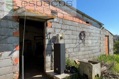 Terra a Fundao, Castelo Branco, Fundao - € 57.000 | Ref: 5560/CP-AF - foto 15