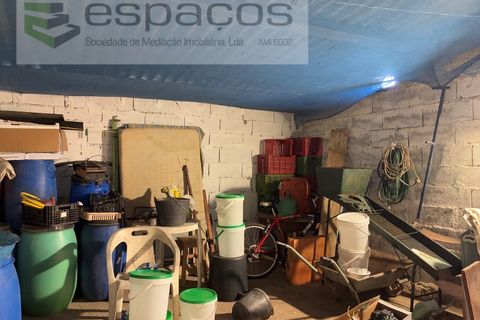Terra a Fundao, Castelo Branco, Fundao - € 57.000 | Ref: 5560/CP-AF - foto 16