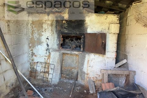 Terra a Fundao, Castelo Branco, Fundao - € 57.000 | Ref: 5560/CP-AF - foto 18