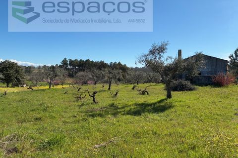 Terra a Fundao, Castelo Branco, Fundao - € 57.000 | Ref: 5560/CP-AF - foto 24