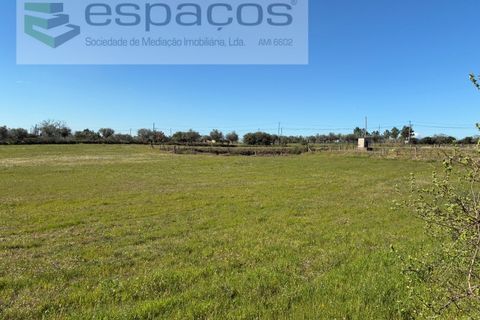 Terra a Fundao, Castelo Branco, Fundao - € 57.000 | Ref: 5560/CP-AF - foto 32