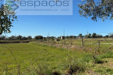 Terra a Fundao, Castelo Branco, Fundao - € 57.000 | Ref: 5560/CP-AF - foto 33