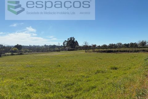 Terra a Fundao, Castelo Branco, Fundao - € 57.000 | Ref: 5560/CP-AF - foto 34