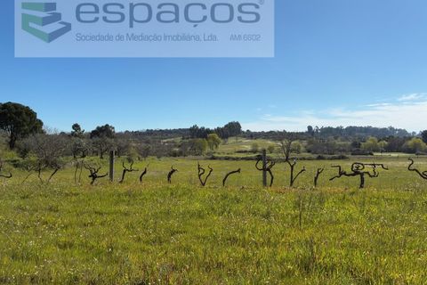 Terra a Fundao, Castelo Branco, Fundao - € 57.000 | Ref: 5560/CP-AF - foto 37