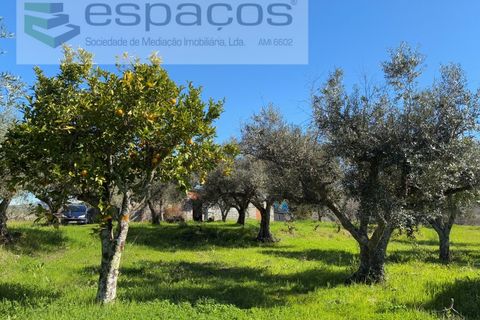 Terra a Fundao, Castelo Branco, Fundao - € 57.000 | Ref: 5560/CP-AF - foto 44