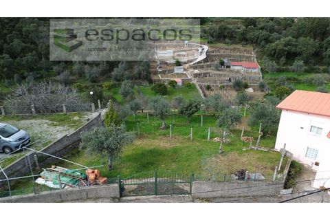 Farm i Castelo Branco, Castelo Branco, Castelo Branco - € 45.000 | Ref: 5747/FA-AC - foto 3