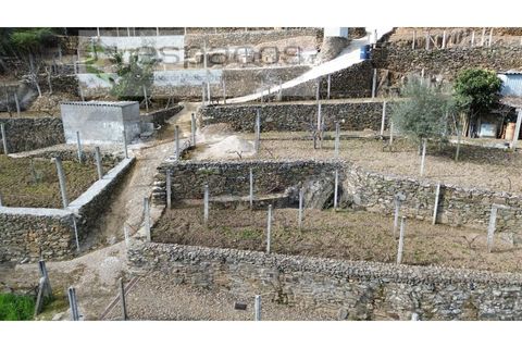 Farm i Castelo Branco, Castelo Branco, Castelo Branco - € 45.000 | Ref: 5747/FA-AC - foto 8