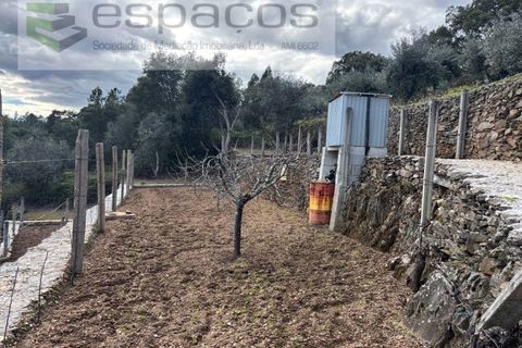 Farm i Castelo Branco, Castelo Branco, Castelo Branco - € 45.000 | Ref: 5747/FA-AC - foto 10