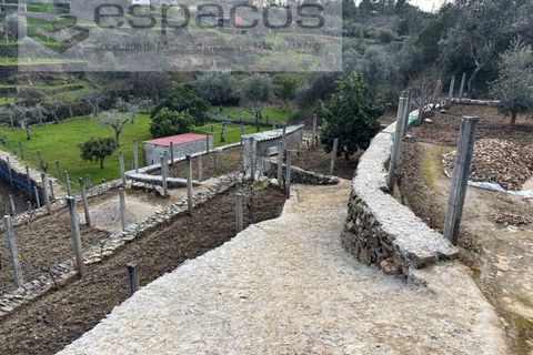 Farm i Castelo Branco, Castelo Branco, Castelo Branco - € 45.000 | Ref: 5747/FA-AC - foto 12