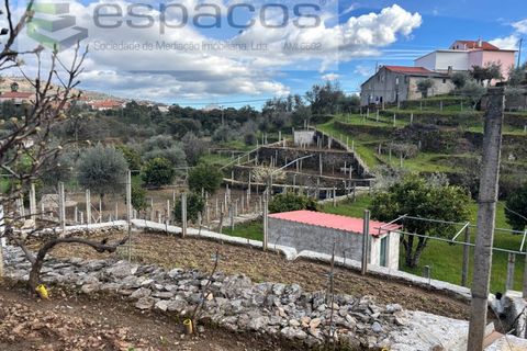 Farm i Castelo Branco, Castelo Branco, Castelo Branco - € 45.000 | Ref: 5747/FA-AC - foto 13