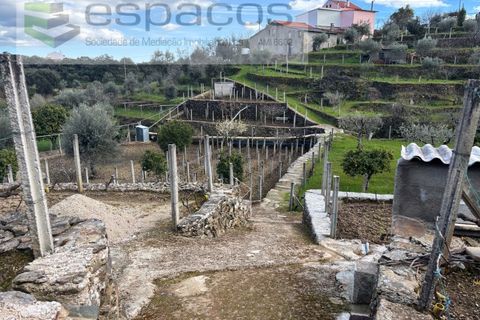 Farm i Castelo Branco, Castelo Branco, Castelo Branco - € 45.000 | Ref: 5747/FA-AC - foto 14