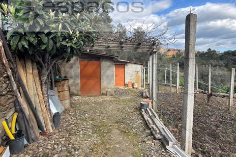 Farm i Castelo Branco, Castelo Branco, Castelo Branco - € 45.000 | Ref: 5747/FA-AC - foto 15
