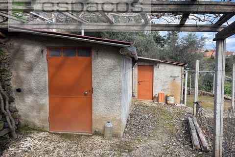 Farm i Castelo Branco, Castelo Branco, Castelo Branco - € 45.000 | Ref: 5747/FA-AC - foto 16