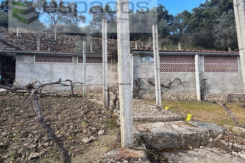 Farm i Castelo Branco, Castelo Branco, Castelo Branco - € 45.000 | Ref: 5747/FA-AC - foto 17