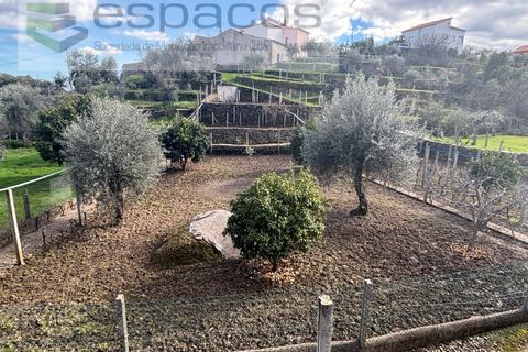 Farm i Castelo Branco, Castelo Branco, Castelo Branco - € 45.000 | Ref: 5747/FA-AC - foto 18