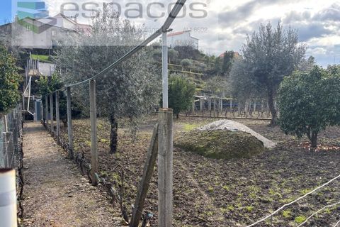Farm i Castelo Branco, Castelo Branco, Castelo Branco - € 45.000 | Ref: 5747/FA-AC - foto 20