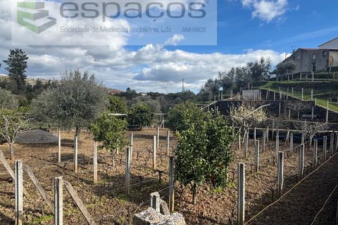 Farm i Castelo Branco, Castelo Branco, Castelo Branco - € 45.000 | Ref: 5747/FA-AC - foto 23