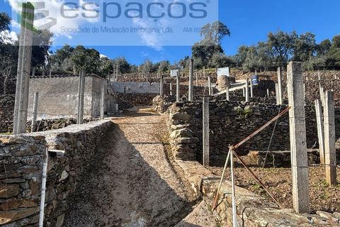 Farm i Castelo Branco, Castelo Branco, Castelo Branco - € 45.000 | Ref: 5747/FA-AC - foto 24