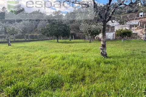 Farm i Castelo Branco, Castelo Branco, Castelo Branco - € 45.000 | Ref: 5747/FA-AC - foto 26