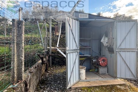 Farm i Castelo Branco, Castelo Branco, Castelo Branco - € 45.000 | Ref: 5747/FA-AC - foto 28