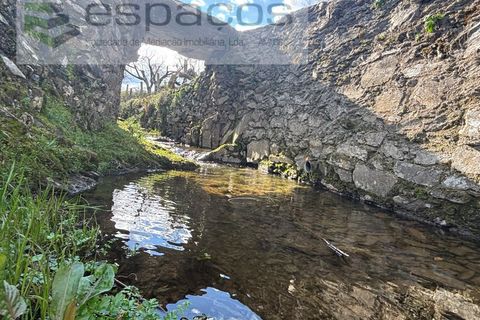 Farm i Castelo Branco, Castelo Branco, Castelo Branco - € 45.000 | Ref: 5747/FA-AC - foto 33