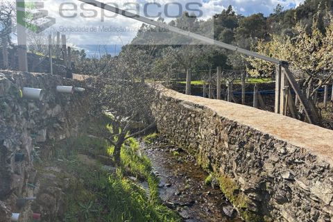 Farm i Castelo Branco, Castelo Branco, Castelo Branco - € 45.000 | Ref: 5747/FA-AC - foto 34