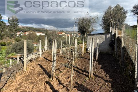 Farm i Castelo Branco, Castelo Branco, Castelo Branco - € 45.000 | Ref: 5747/FA-AC - foto 36