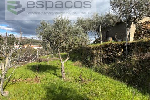 Farm i Castelo Branco, Castelo Branco, Castelo Branco - € 45.000 | Ref: 5747/FA-AC - foto 37