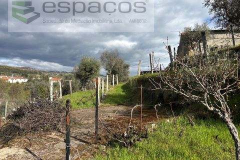 Farm i Castelo Branco, Castelo Branco, Castelo Branco - € 45.000 | Ref: 5747/FA-AC - foto 38