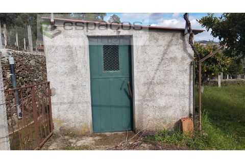 Farm i Castelo Branco, Castelo Branco, Castelo Branco - € 45.000 | Ref: 5747/FA-AC - foto 39