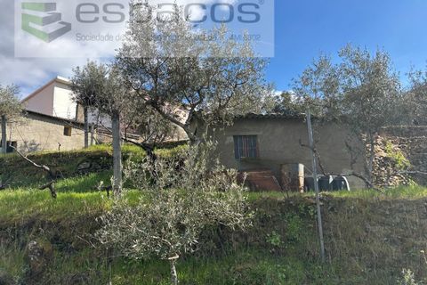 Farm i Castelo Branco, Castelo Branco, Castelo Branco - € 45.000 | Ref: 5747/FA-AC - foto 40