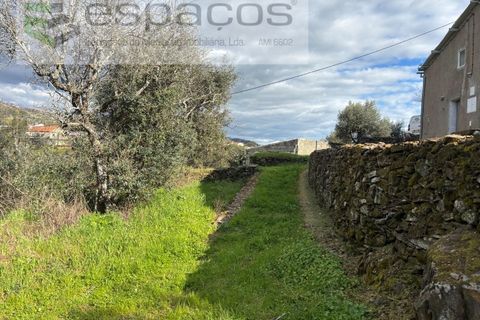 Farm i Castelo Branco, Castelo Branco, Castelo Branco - € 45.000 | Ref: 5747/FA-AC - foto 41