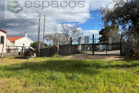 Farm i Castelo Branco, Castelo Branco, Castelo Branco - € 45.000 | Ref: 5747/FA-AC - foto 42