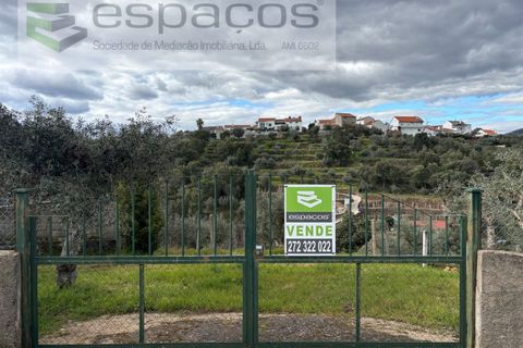 Farm i Castelo Branco, Castelo Branco, Castelo Branco - € 45.000 | Ref: 5747/FA-AC - foto 43