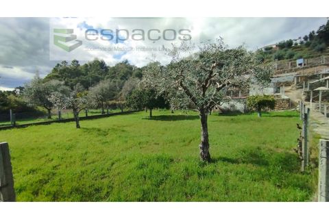 Farm i Castelo Branco, Castelo Branco, Castelo Branco - € 45.000 | Ref: 5747/FA-AC - foto 44
