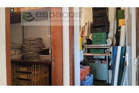 Farm i Castelo Branco, Castelo Branco, Castelo Branco - € 45.000 | Ref: 5747/FA-AC - foto 45