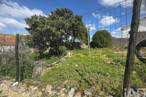 Byhus i Alcobaca, Leiria, Alcobaca - € 45.000 | Ref: 851737 - foto 5