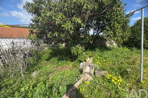 Byhus i Alcobaca, Leiria, Alcobaca - € 45.000 | Ref: 851737 - foto 6