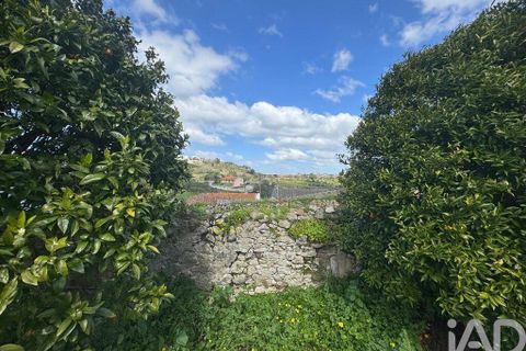 Byhus i Alcobaca, Leiria, Alcobaca - € 45.000 | Ref: 851737 - foto 7