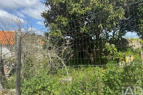 Byhus i Alcobaca, Leiria, Alcobaca - € 45.000 | Ref: 851737 - foto 10