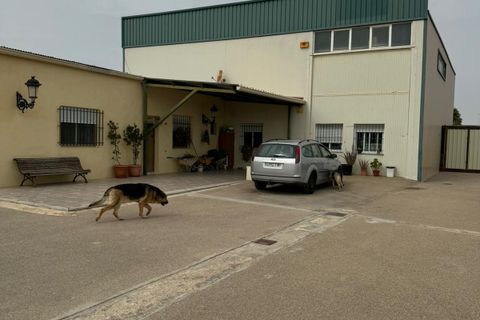 Landejendom i Pinoso, Alicante, Pinoso - € 220.000 | Ref: V007-24 - foto 3