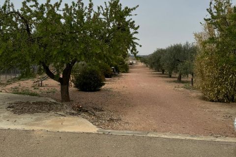 Landejendom i Pinoso, Alicante, Pinoso - € 220.000 | Ref: V007-24 - foto 36