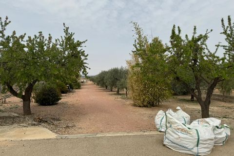 Landejendom i Pinoso, Alicante, Pinoso - € 220.000 | Ref: V007-24 - foto 35