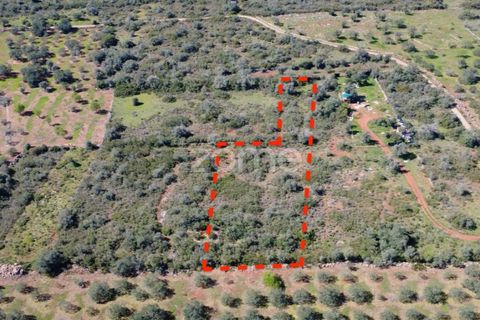 Helårsgrund i Silves, Faro, Silves - € 16.000 | Ref: ZMPT583959 - foto 2