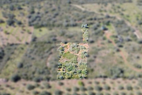Helårsgrund i Silves, Faro, Silves - € 16.000 | Ref: ZMPT583959 - foto 1
