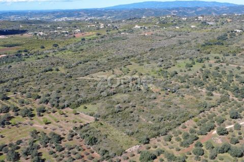 Helårsgrund i Silves, Faro, Silves - € 16.000 | Ref: ZMPT583959 - foto 3