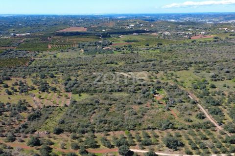 Helårsgrund i Silves, Faro, Silves - € 16.000 | Ref: ZMPT583959 - foto 6