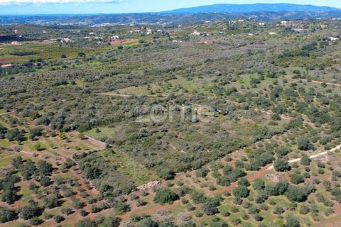 Helårsgrund i Silves, Faro, Silves - € 16.000 | Ref: ZMPT583959 - foto 8