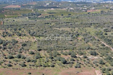 Helårsgrund i Silves, Faro, Silves - € 16.000 | Ref: ZMPT583959 - foto 11