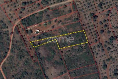 Helårsgrund i Silves, Faro, Silves - € 16.000 | Ref: ZMPT583959 - foto 15